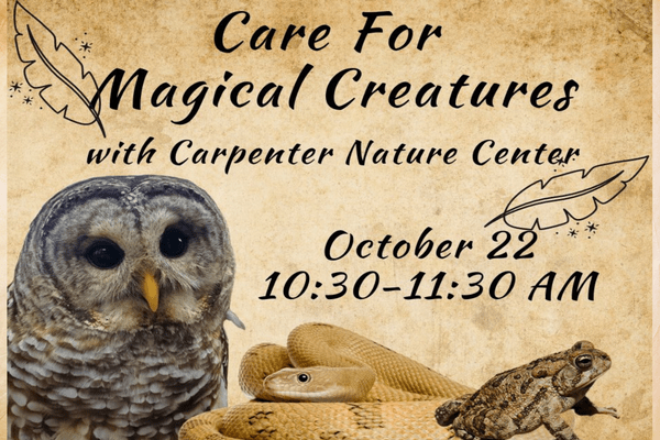 Care for Magical Creatures