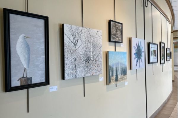 In the Gallery: Aging Adult Artists and Caregiving Adult Artists